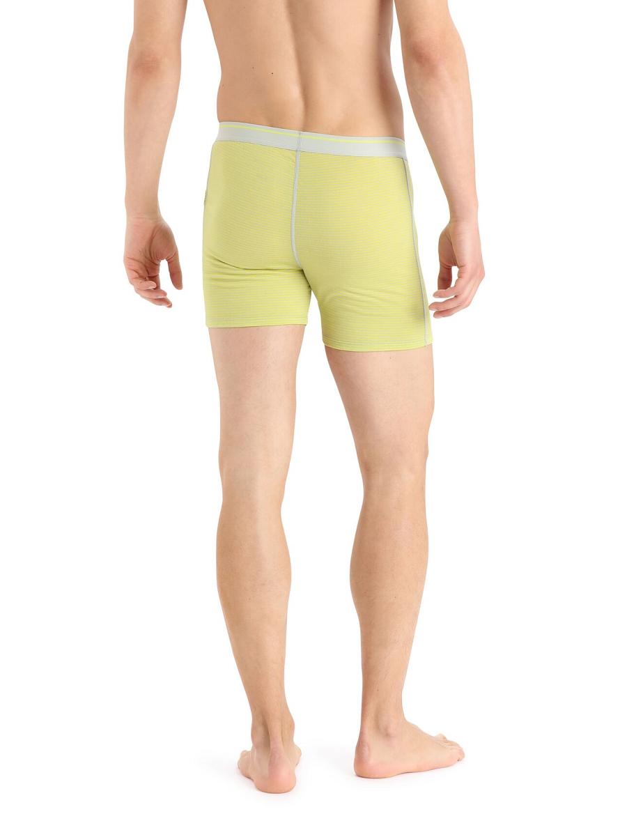 Bielizny Icebreaker Merino Anatomica Boxers Męskie Mięta | PL 1635LISH